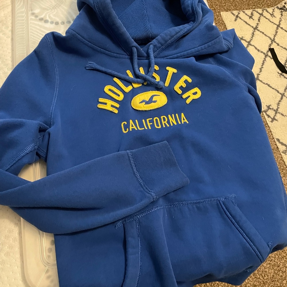 Holster sweatshirt